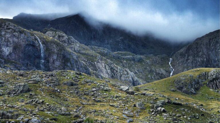 How To Reach 99 Exch Support Through India Contact Number?