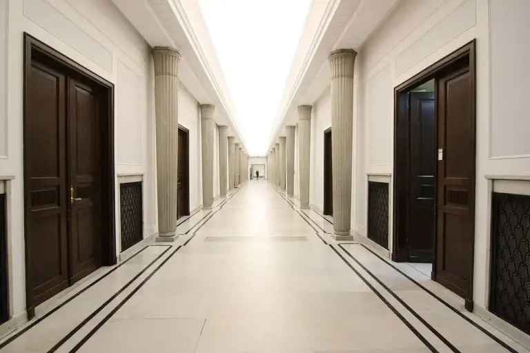 Allpaanel – Innovative Solutions, Market Impact, and the Strategic Insight from the Reddy Anna Book